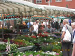 Mainz Market